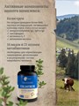 Колострум,метабиотик, пастилки, 30 шт colostrum