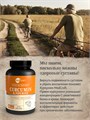 Куркумин с пиперином, софтгель, 130 мг, 60 шт curcumin
