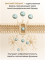 Магний треонат, капсулы,  2100  мг, 90 шт. MagnesiumThreonate