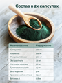 Спирулина, капсулы, 100 мг, 60 шт spirulina